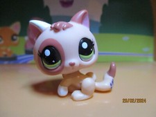 Petshop kitten 1818 d'occasion  Expédié en Belgium