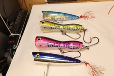 saltwater fish others for sale saltwater fish others for sale Houston
