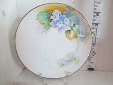Vintage hand painted for sale  Evans