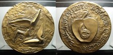 Medaglia banca credito usato  Sermide e Felonica