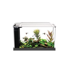 Askoll fluval spec usato  Terlizzi