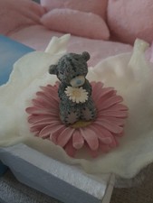 Little petal beautiful for sale  SOUTHAMPTON