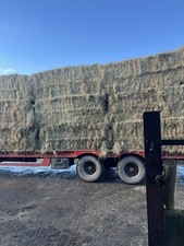 Cattle hay due for sale  MACCLESFIELD