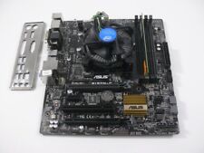 Mainboard bundle asus gebraucht kaufen  Altenweddingen