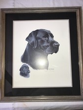 Louis frisino dog for sale  Charleroi