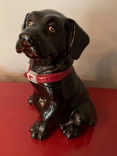 Black lab dog for sale Black lab dog for sale  Lynnwood