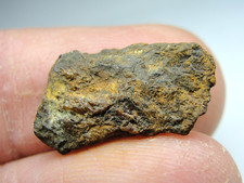 Nwa 7920 pallasite for sale  Hebron