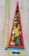 Vintage felt pennant for sale  Aiken