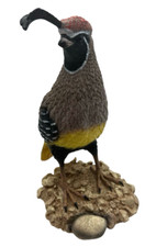 Vintage gambel quail for sale  Gig Harbor