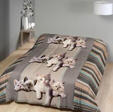 Couette légère chat d'occasion  Auchel