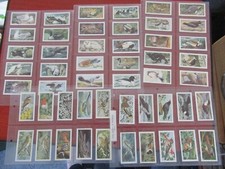 Brooke bond wild for sale  HORLEY