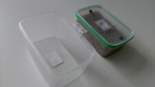 Mushroom mycelium grow for sale  CLACTON-ON-SEA