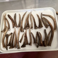 Kilo fallow deer for sale  HORSHAM