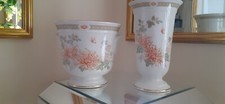 Marks spencer chrysanthemum for sale  NORTH FERRIBY