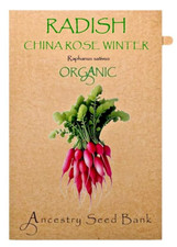 Organic radish china for sale  BOLTON