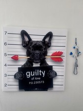 French bulldog funny for sale  BRIGHTON