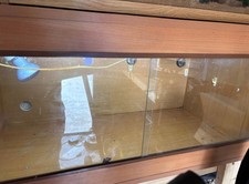 Reptile vivarium tank for sale  NEWTOWNARDS