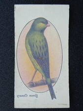 Green canary aviary for sale  UK