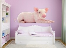 Papier peint animal d'occasion  Expédié en France