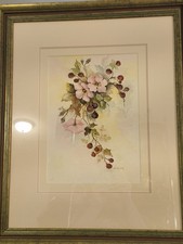 Original dogwood raspberry for sale  Eau Claire