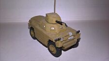 Built painted ferret for sale  LANCASTER