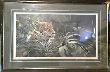 Symbol rainforest robert for sale  Parsons