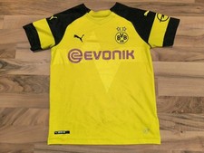 Schönes borussia dortmund gebraucht kaufen  Bispingen