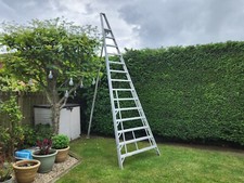 garden ladders for sale garden ladders for sale WHITLEY BAY
