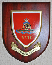 Training regiment royal for sale  WISBECH