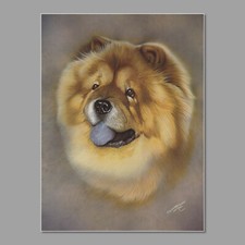 Chow chow dog for sale  SLEAFORD