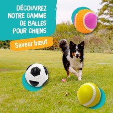 Aimé balle chien d'occasion  Bourges