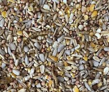 20kg robin songbird for sale  NEWTON-LE-WILLOWS