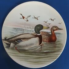 Mallard wild duck for sale  YEOVIL