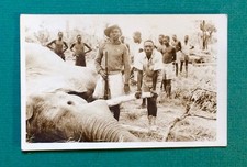Photo afrique safari d'occasion  Paris XVIII