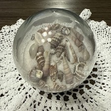 Coastal shells sand for sale  Easton