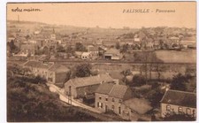 Postcard falisolle panorama d'occasion  Expédié en Belgium