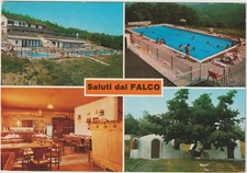 Pessola falco ristorante usato  Polcenigo