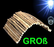 Nager große natur gebraucht kaufen  Stadtallendorf