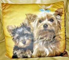 York shire terrier gebraucht kaufen  Mörfelden-Walldorf