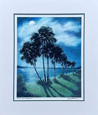 Judy batterson moon for sale  Orlando