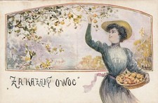 Cartolina raccolta frutta usato  Ticengo