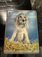 Vintage wrights biscuit for sale  HARROGATE