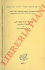 Lanza benedetto anfibi usato  Italia
