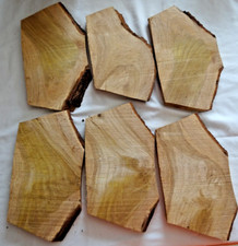 Eschen holz bretter gebraucht kaufen  Bad Kreuznach
