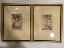 tree prints framed for sale tree prints framed for sale Memphis