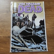 Walking dead 107 for sale  BRIGG
