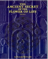 The ancient secret gebraucht kaufen  Deutschland