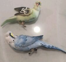 Set parakeet budgie for sale  Westlake Village