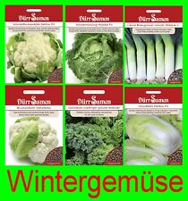Wintersaatgut wintergemüse bl gebraucht kaufen  Förderstedt