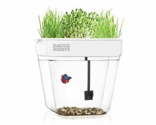 Back roots premium for sale  Chester